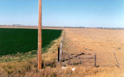 [IrrigatedvsNot.jpg]