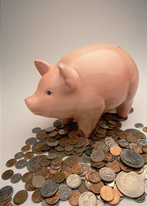 [piggy_bank.JPG]