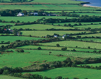 [AGPix_TeDoMaLi31_1228_Lg.jpg]