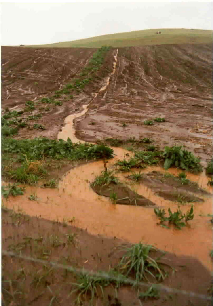 [p-water_erosion-sheet-l.jpg]