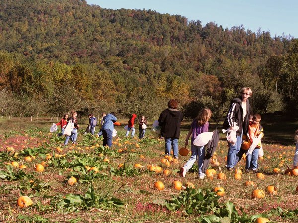 [f_agritourism_1b.jpg]