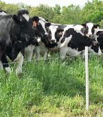 [smPR57A-Powerflex-Fence.jpg]