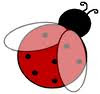 joaninha - ladybug