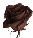 chocolate rose