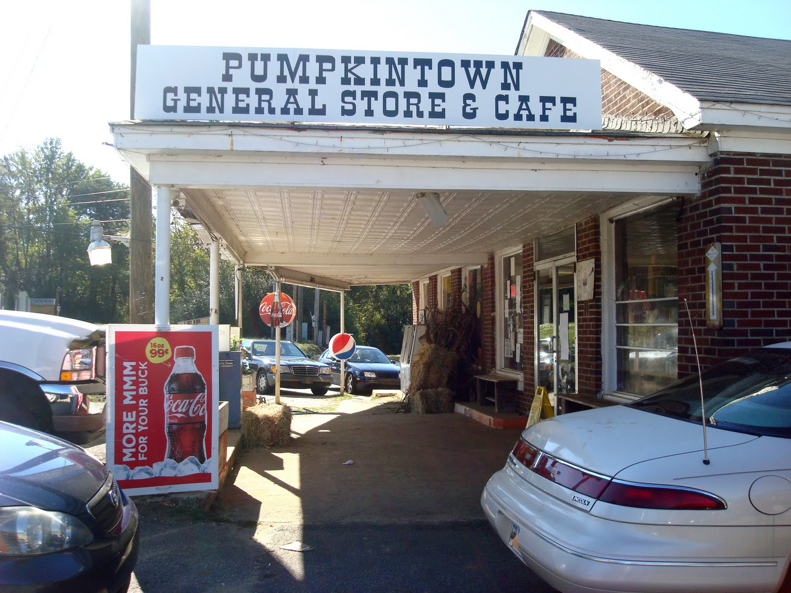 Scattering Lupines pieces of pumpkintown, sc