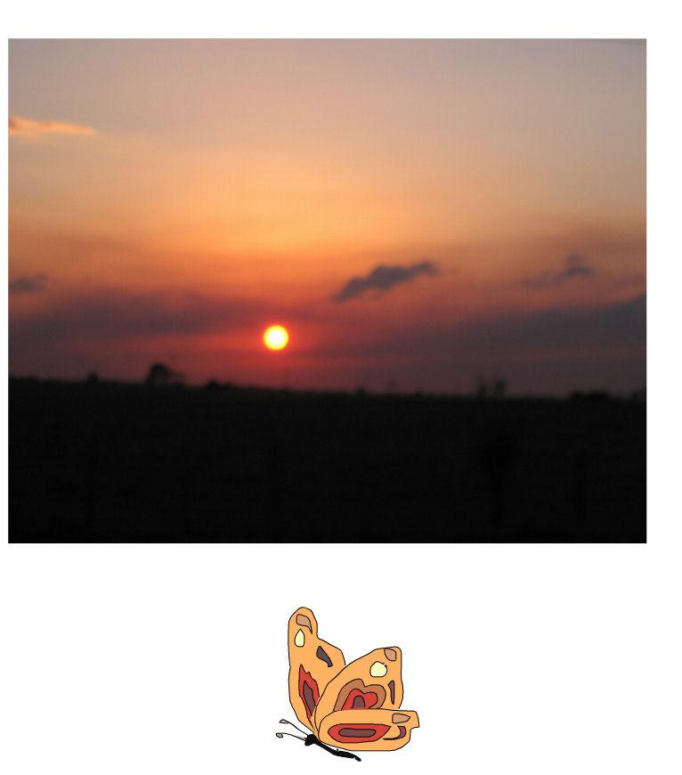 [mariposa2b.jpg]