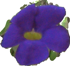 [pastedpic_05052009_055442.png]