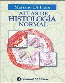 Histologia De Di Fiore Texto Y Atlas.Pdf
