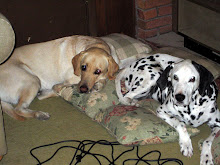 KC and Tuff