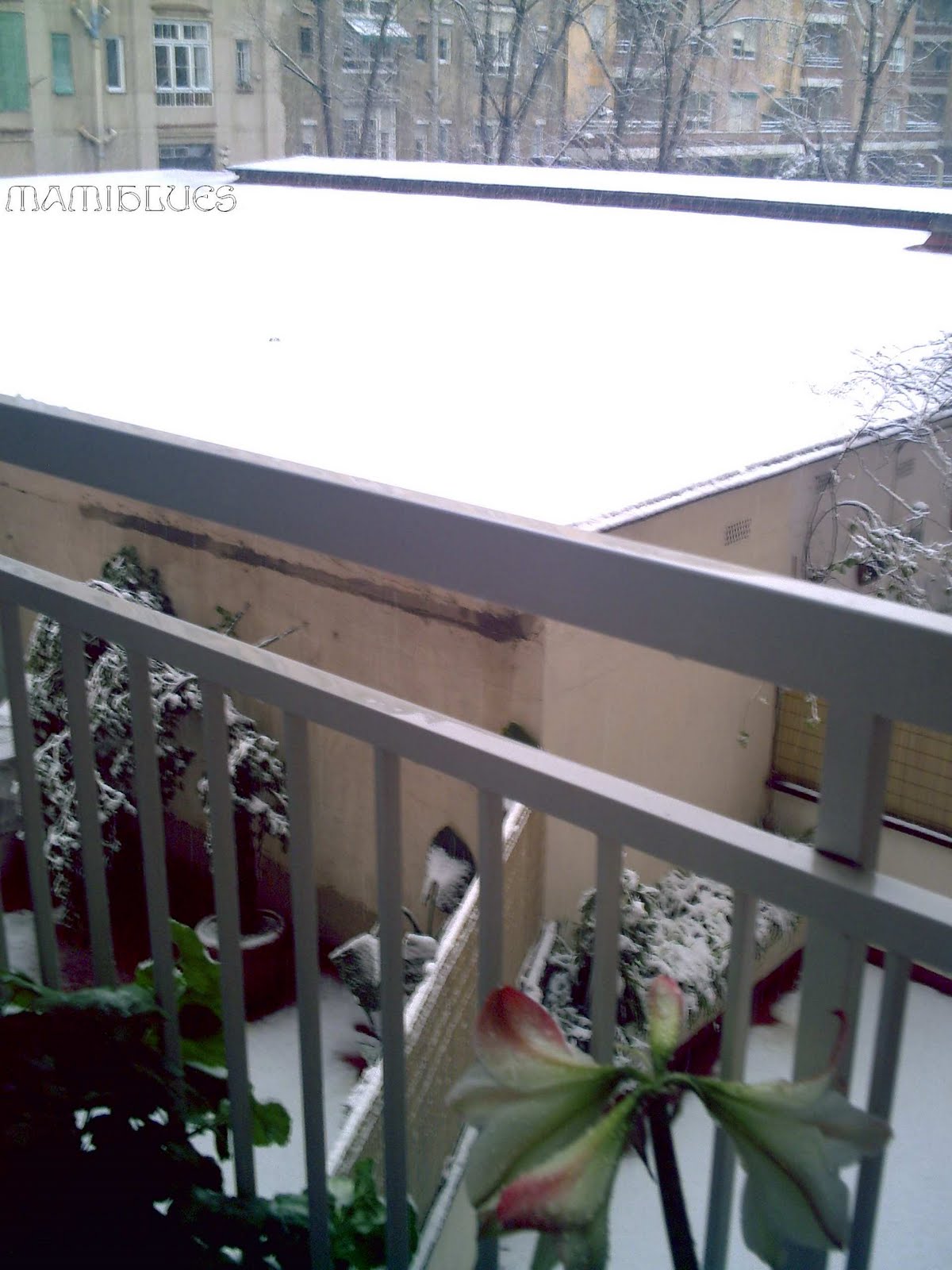 [desde+mi+terraza.jpg]