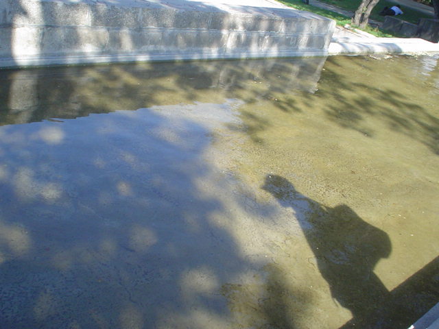 [DSC03987.JPG]