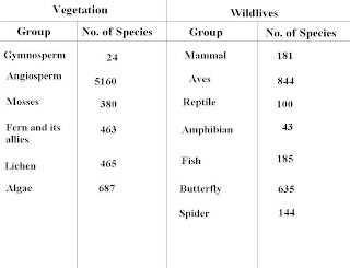 Diversity of Species in Nepal