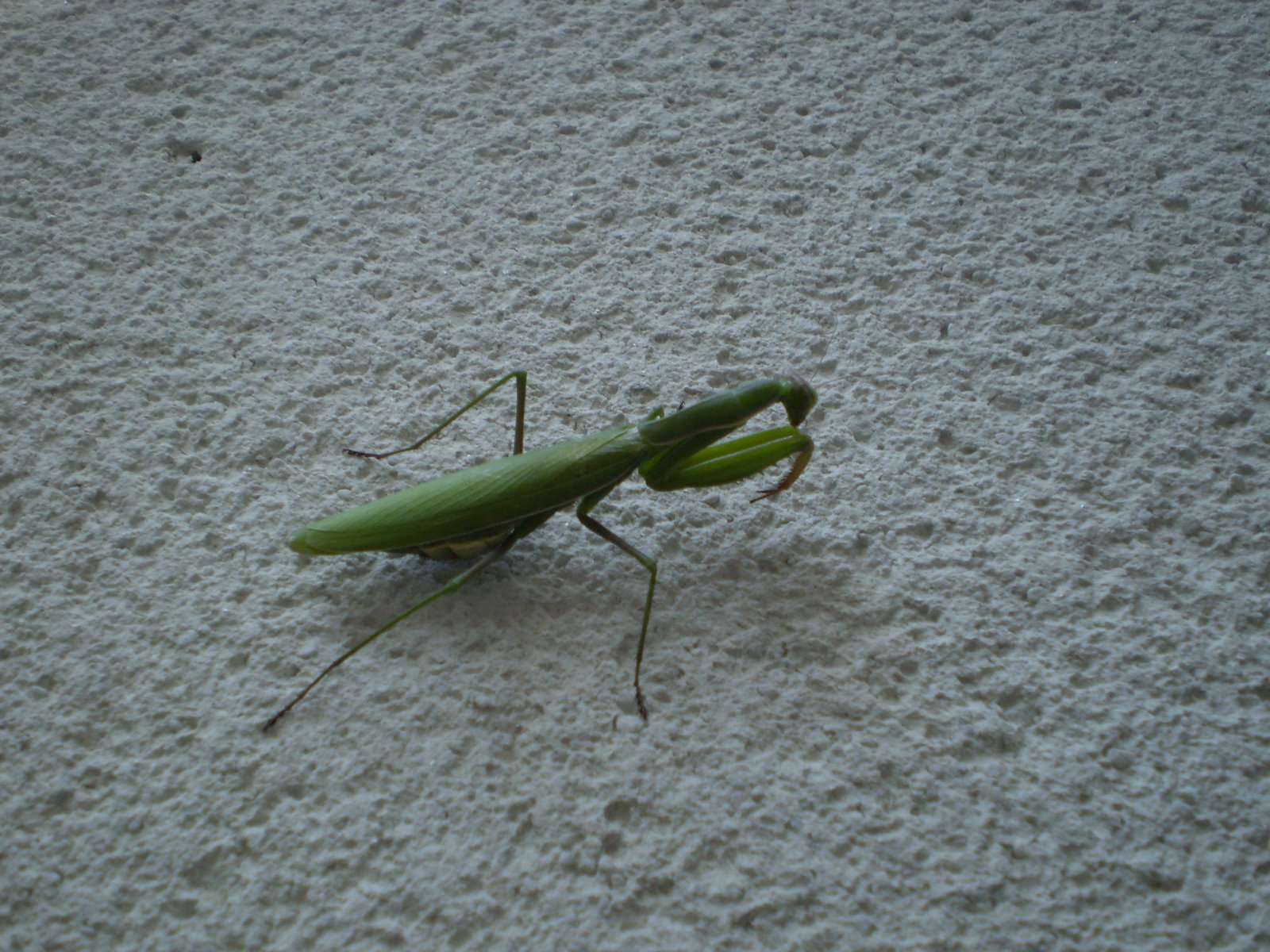 [P1010047.JPG]