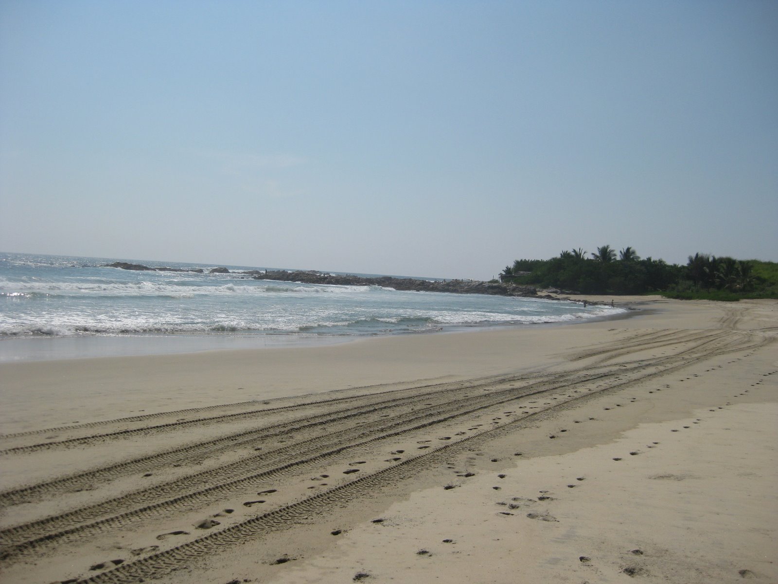 [IMG_0804.JPG]