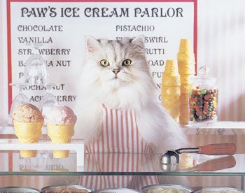 [Paws-Ice-Cream-Print-C10054635.jpg]