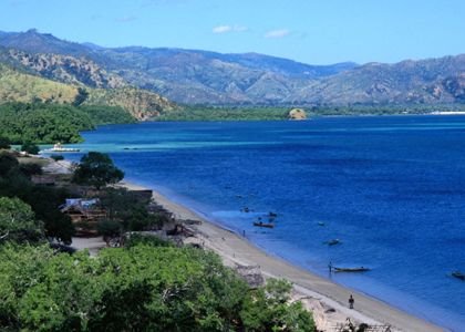 [Timor.bmp]