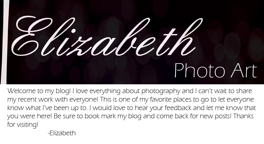 Elizabeth PhotoArt