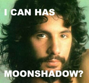 lolCat Stevens