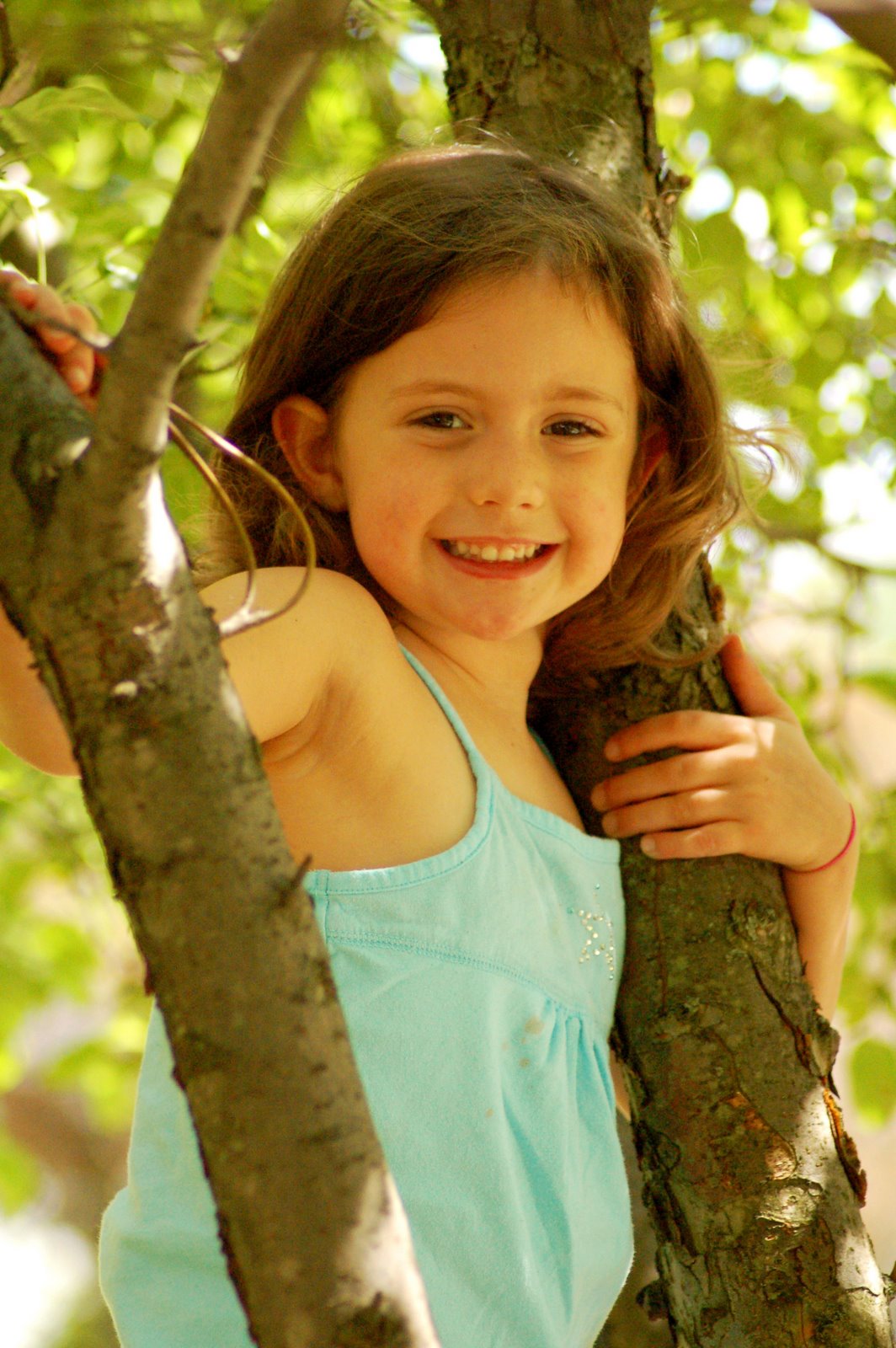 [DSC_0056.JPG]