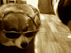 My photo