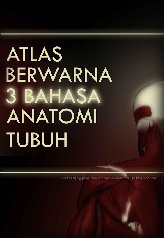 Book Cover ATLAS BERWARNA 3 BAHASA ANATOMI TUBUH for Salemba title=