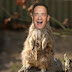 TOM HANKS Y LOS ANIMALES, BISBAL Y LAS PATILLAS