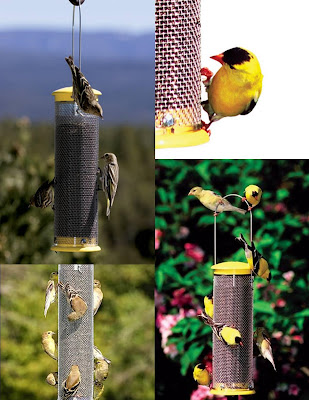 Feedthebirds 1 Product Highlight Wbu Mesh Finch Feeder