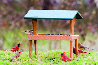 wild birds unlimited wbu fly thru ground feeder wild birds unlimited wbu fly thru ground feeder