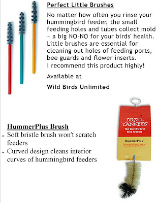 wild birds unlimited how do i get rid of mold in my wild birds unlimited how do i get rid of mold in my