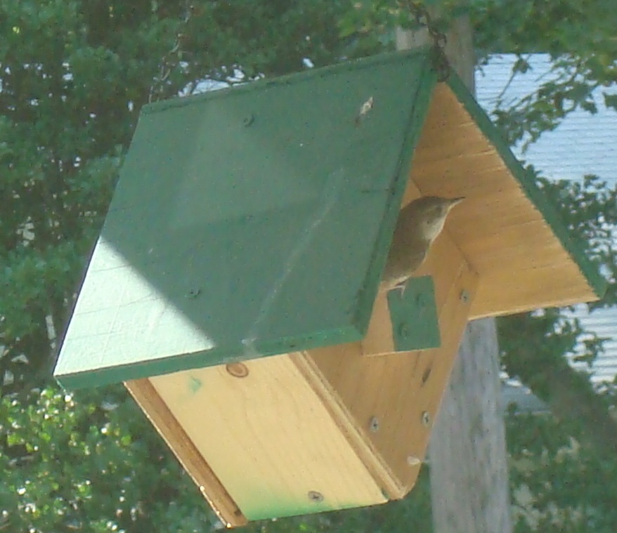 wild birds unlimited cleaning placement of wren bird houses wild birds unlimited cleaning placement of wren bird houses