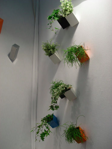 Planter Pots Planter Pots