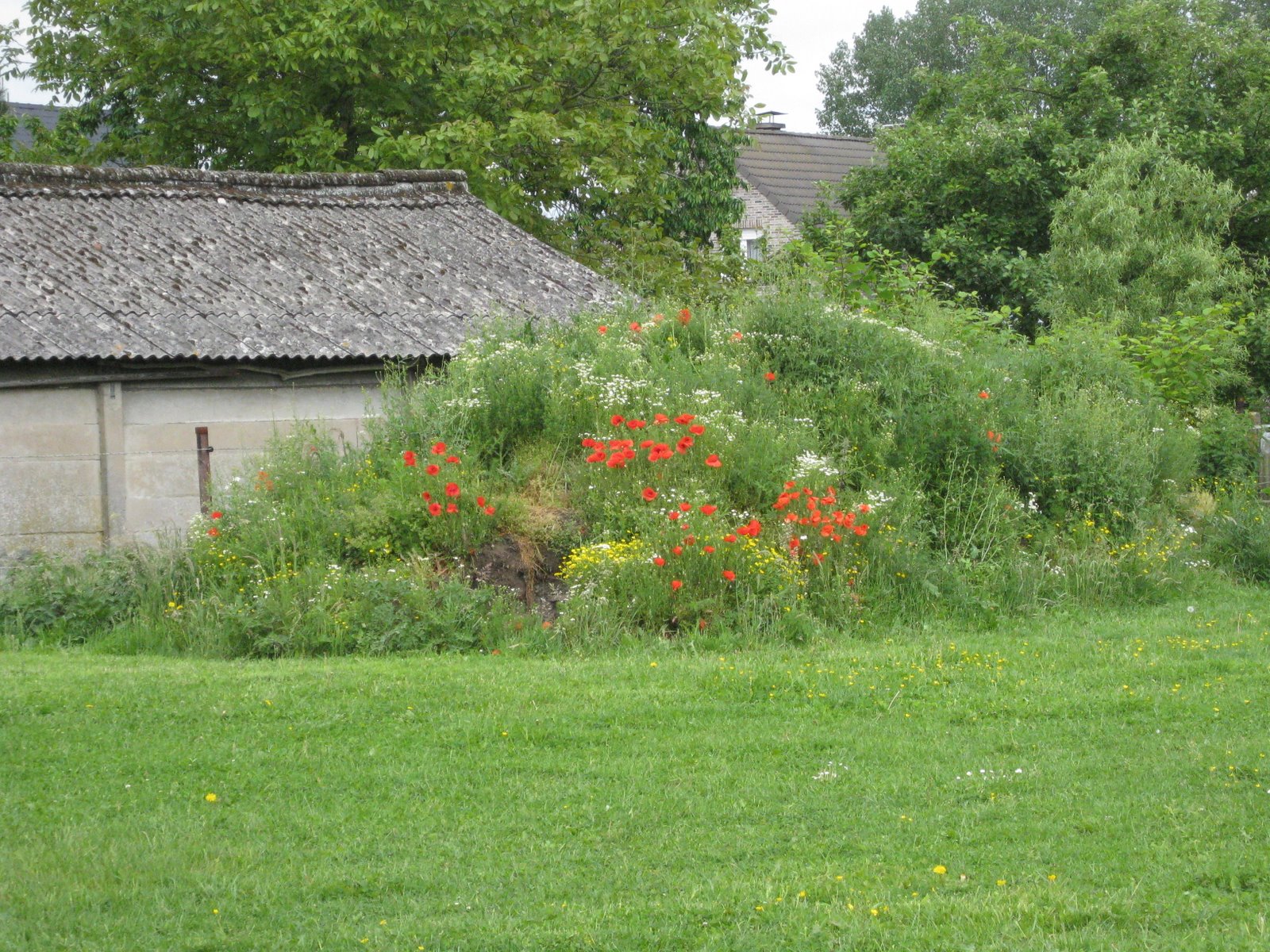 [IMG_0459.JPG]