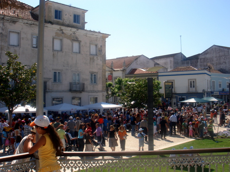 [DSC05131.JPG]