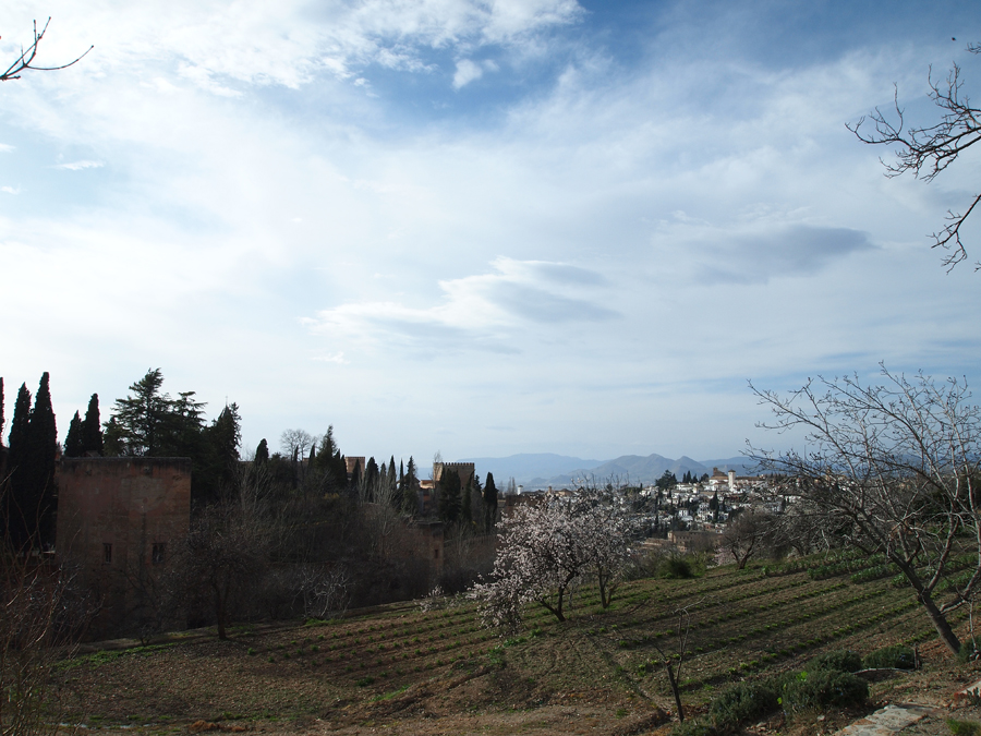 [Granada+-+Alhambra+desde+el+Generalife.jpg]