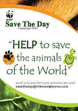 WWF-Save The Day