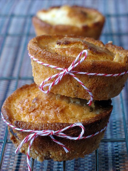 [Choc+Tonka+Apricot+1.jpg]