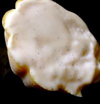 [Culinarytravelsofakitchengoddess.jpg]