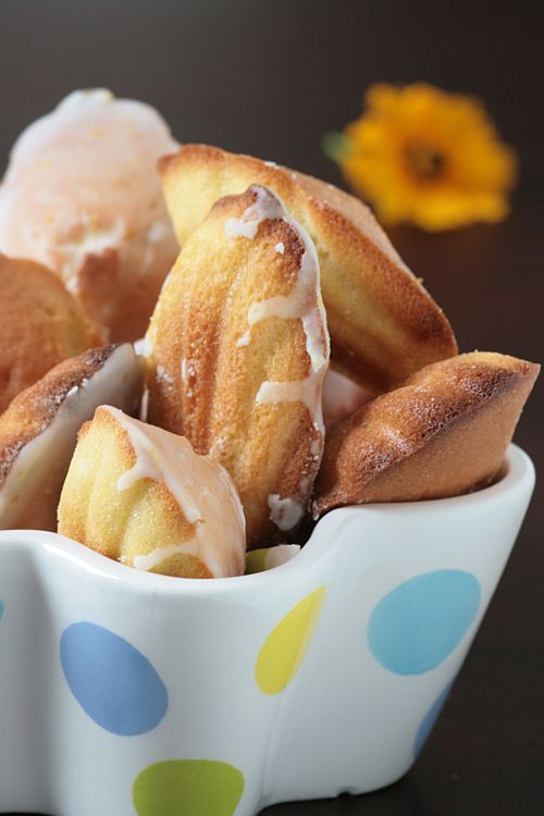 [Madeleines2.jpg]
