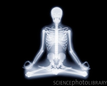 x-ray padmasana