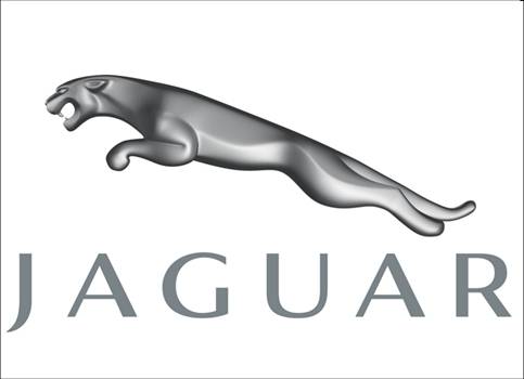 [Jaguar]
