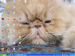 Desktop Attuale