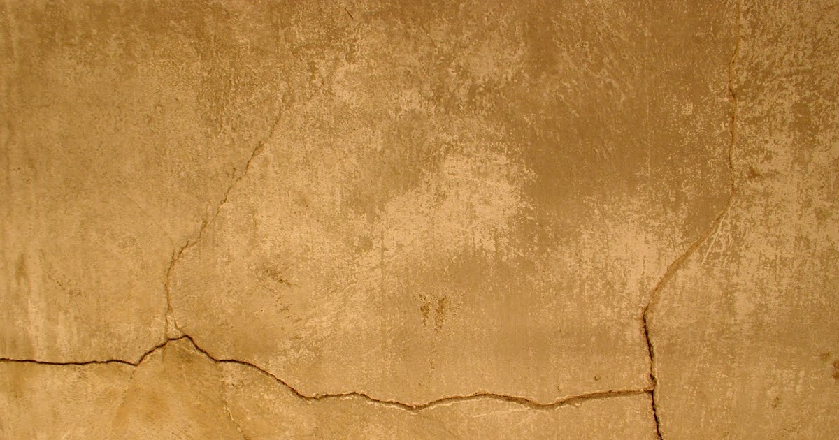 Dancing Acorns StructoLite