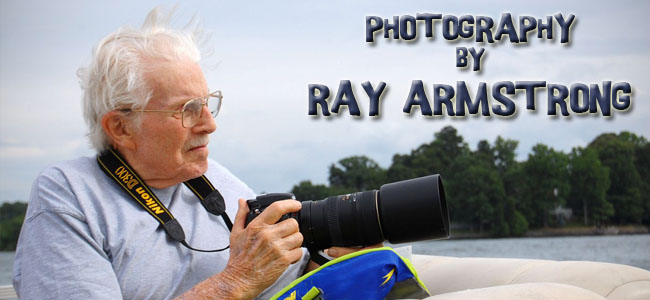 PHOTOGRAPHY BY RAY ARMSTRONG