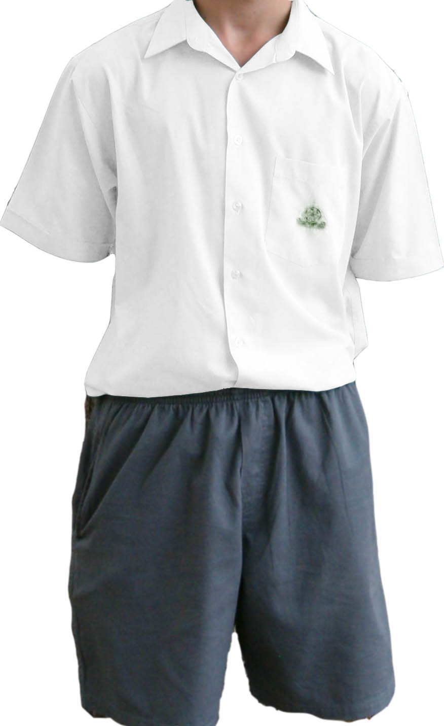 Essay school uniform