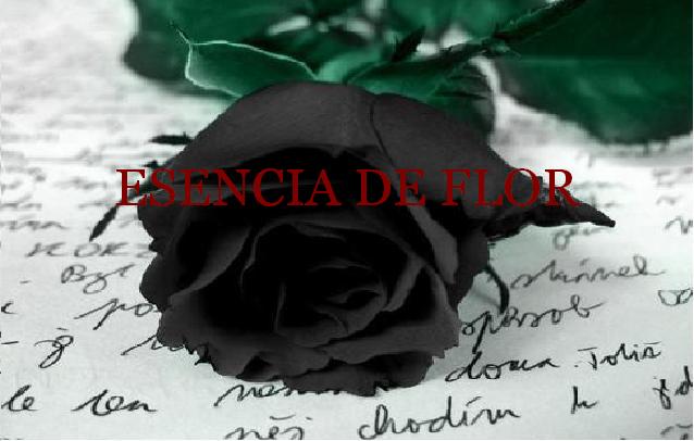 Esencia de Flor