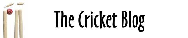 The Cricket Blog - 20 Twenty World cup