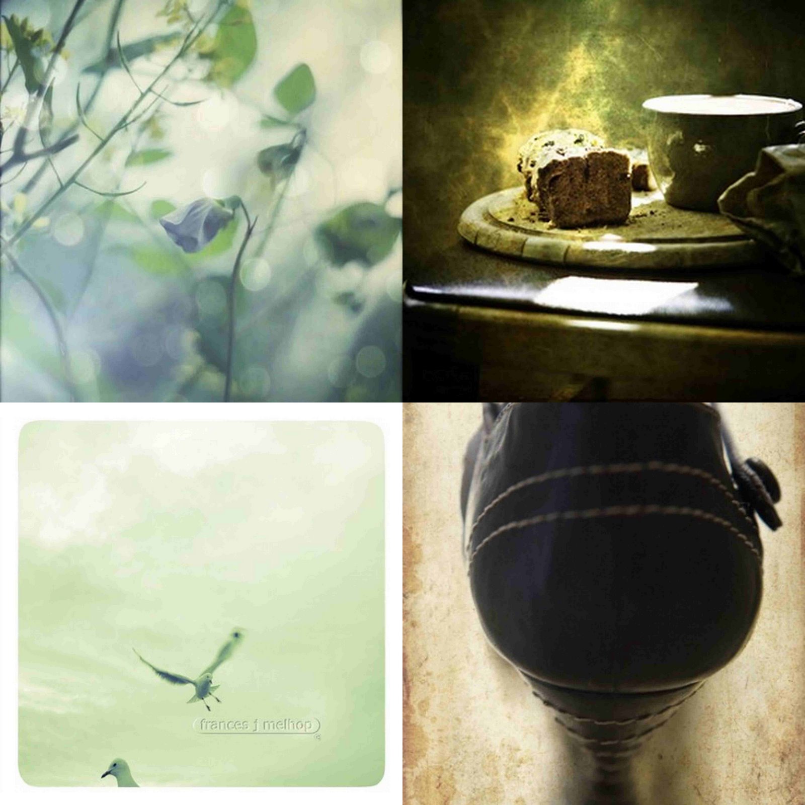 [shopping+saturday4.jpg]