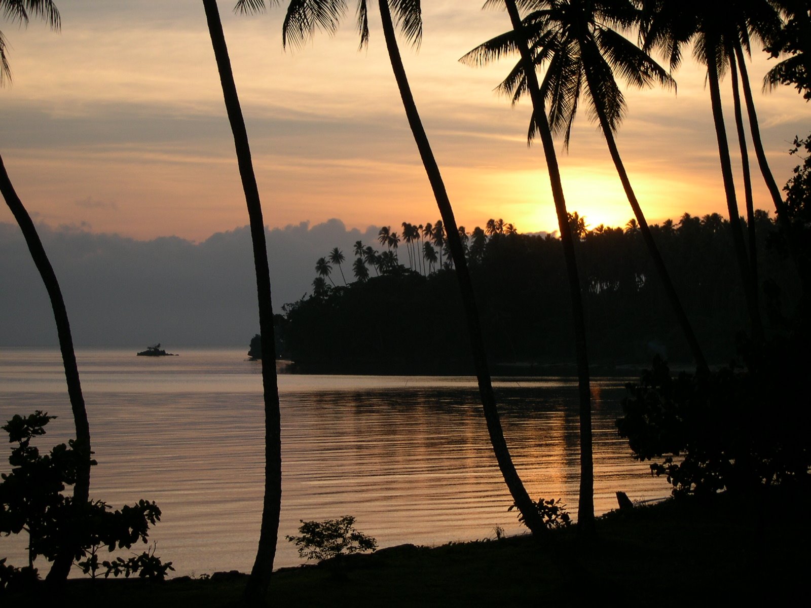 [DSCN1611.JPG]