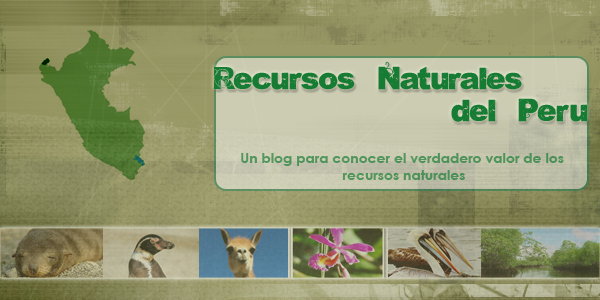 Recursos Naturales del Perú