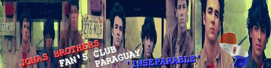 *-.Jonas Brothers Paraguay.-*